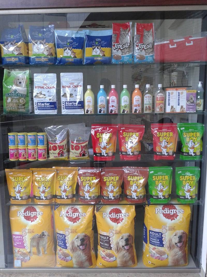 ANVI'S PET SHOP