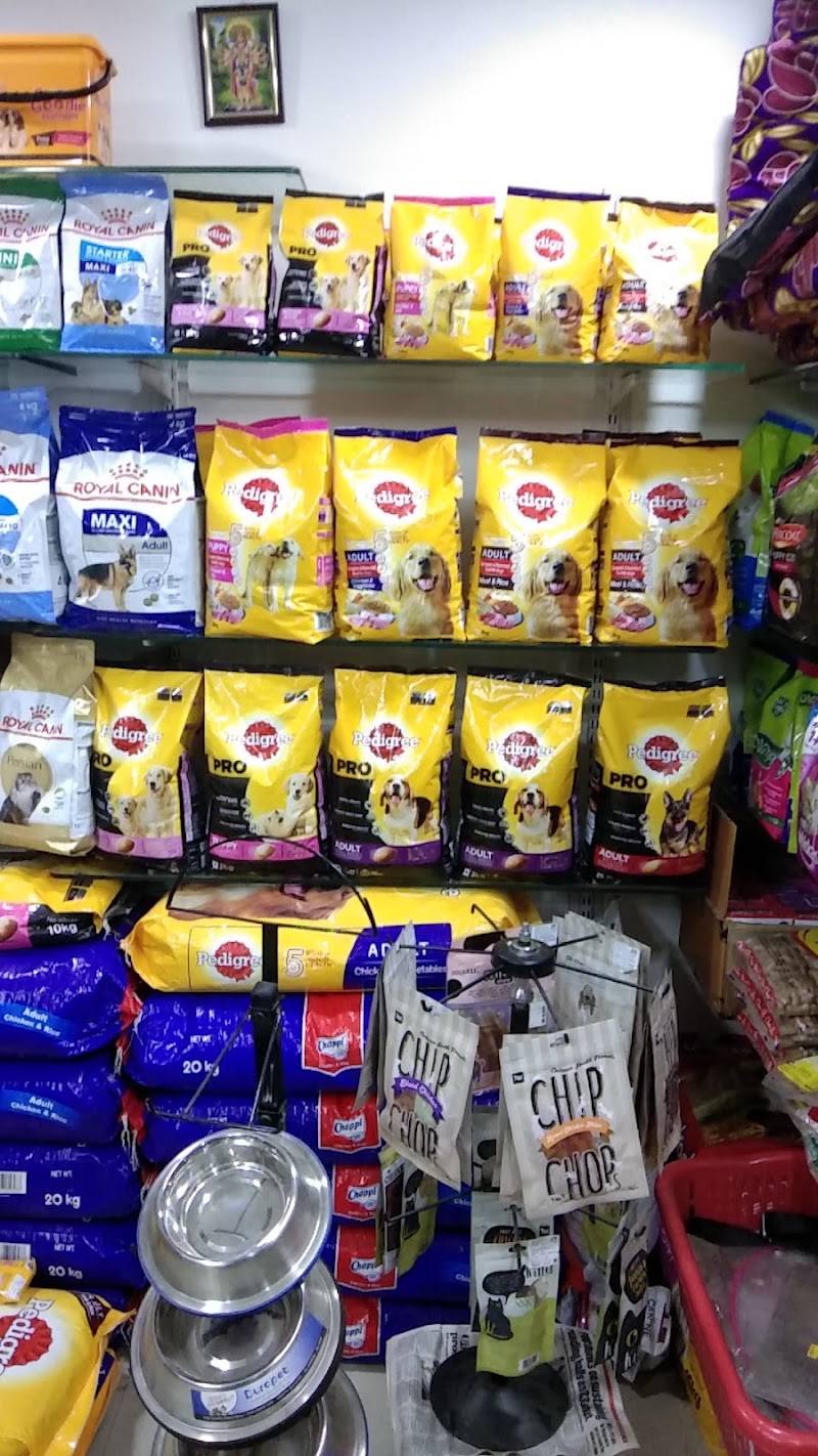 ANVI'S PET SHOP