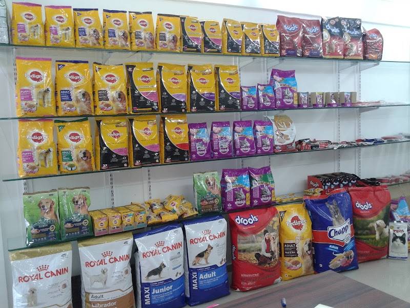 ANVI'S PET SHOP