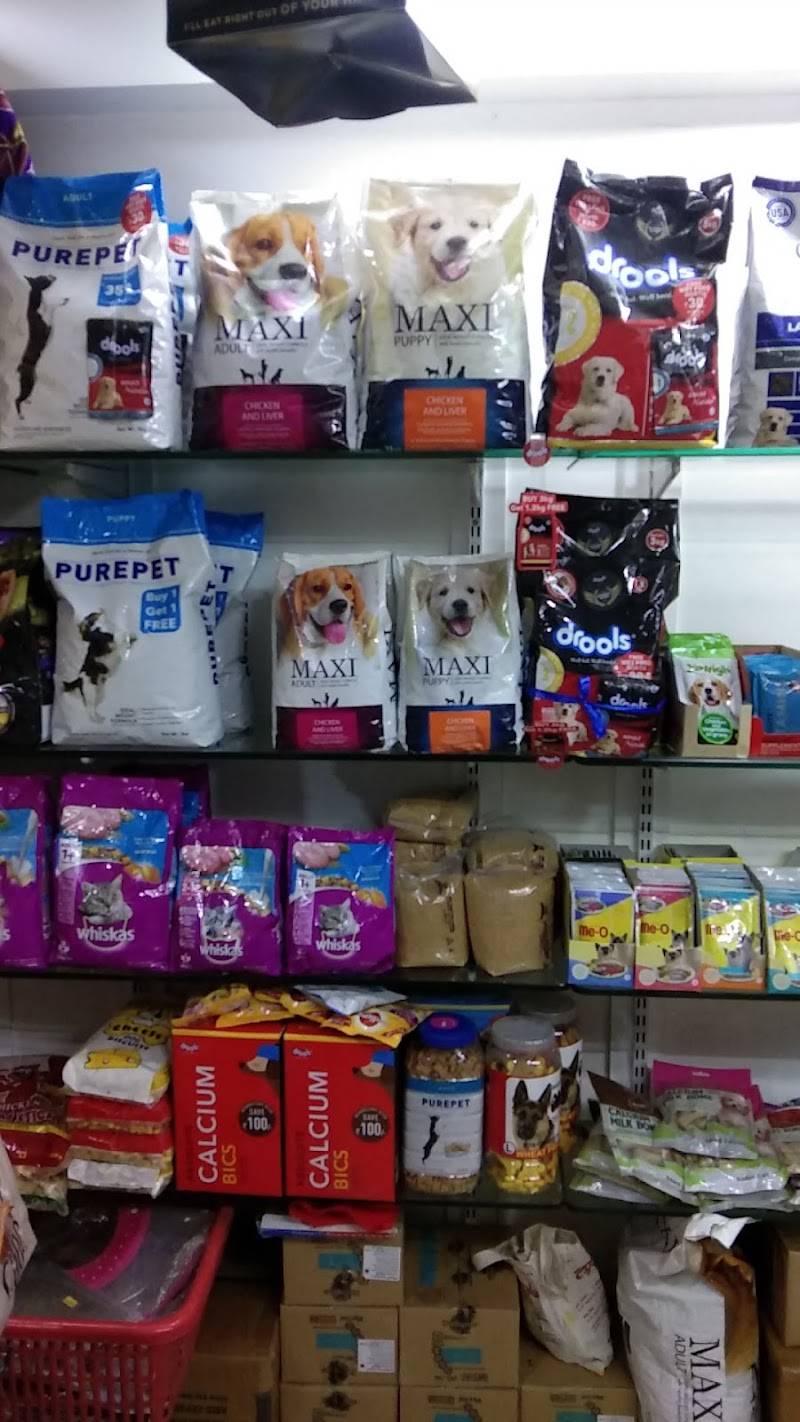 ANVI'S PET SHOP