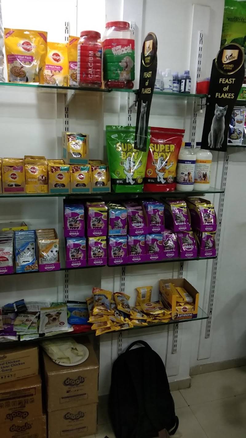 ANVI'S PET SHOP