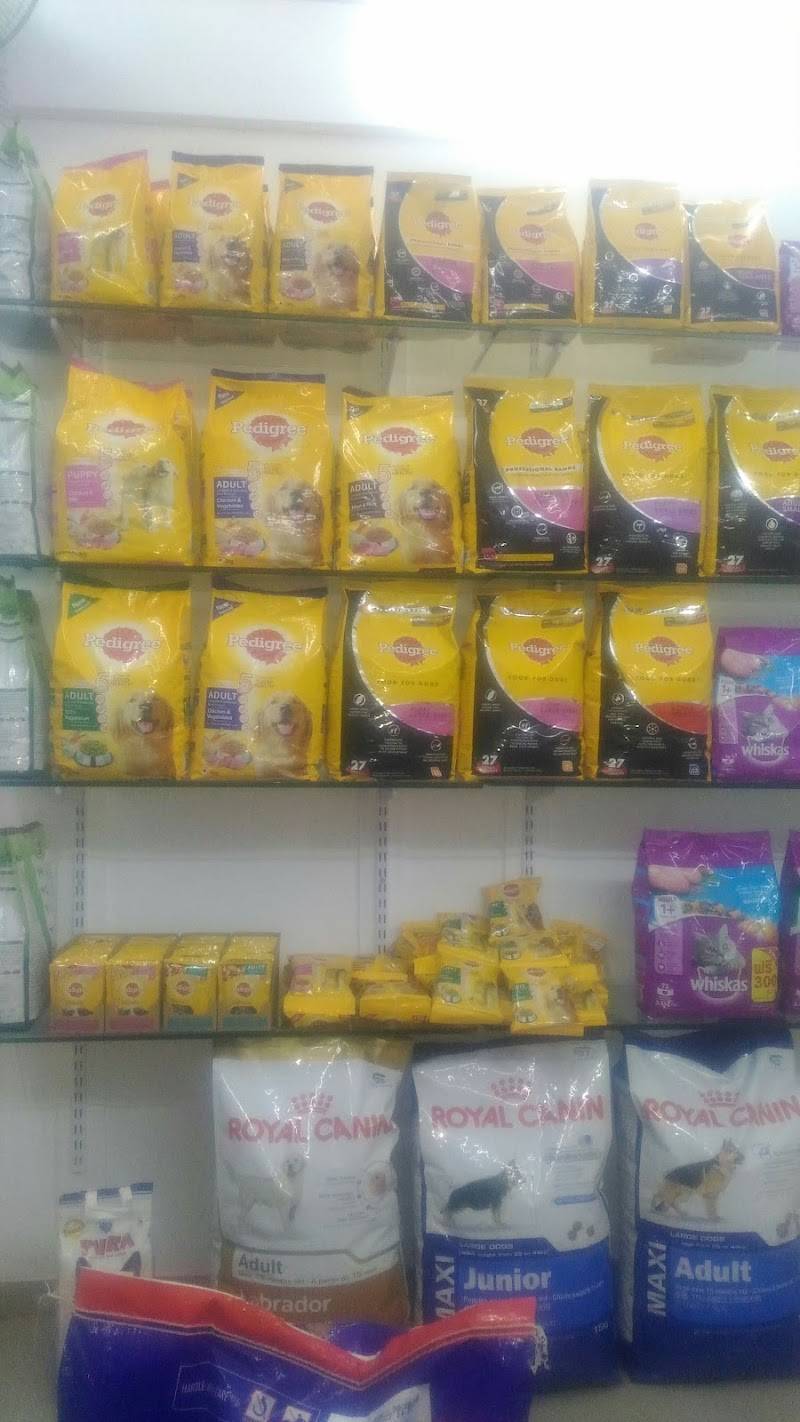 ANVI'S PET SHOP